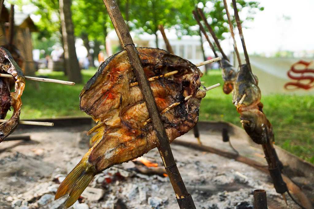 Halid Bešlić otvorio Jarun piknik festival