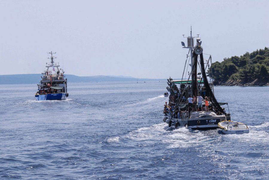 Tunuara 2016 – defile ribarica, spremanje brudeta, demonstracija ribarske vještine i koncert Zorica Kondža. Foto: TZ općine Kali/Adam Vidas Tunuara 2016 – defile ribarica, spremanje brudeta, demonstracija ribarske vještine i koncert Zorica Kondža. Foto: TZ općine Kali/Adam Vidas