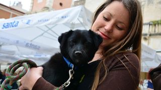 Skup podrške za NO KILL skloništa za životinje,  foto Iva Perinčić