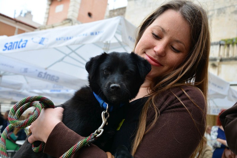 Skup podrške za NO KILL skloništa za životinje,  foto Iva Perinčić