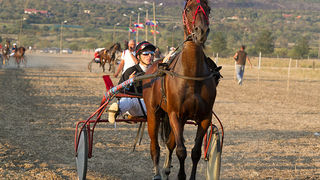 Polača: 14. Međunarodne konjičke utrke “Oluja 95”, Foto: Leo Banić Polača: 14. Međunarodne konjičke utrke “Oluja 95”, Foto: Leo Banić