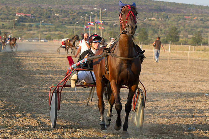 Polača: 14. Međunarodne konjičke utrke “Oluja 95”, Foto: Leo Banić Polača: 14. Međunarodne konjičke utrke “Oluja 95”, Foto: Leo Banić