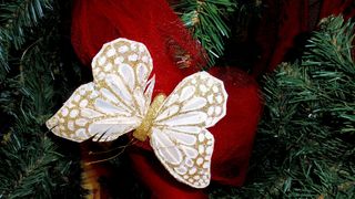 OLYMPUS DIGITAL CAMERA OLYMPUS DIGITAL CAMERA