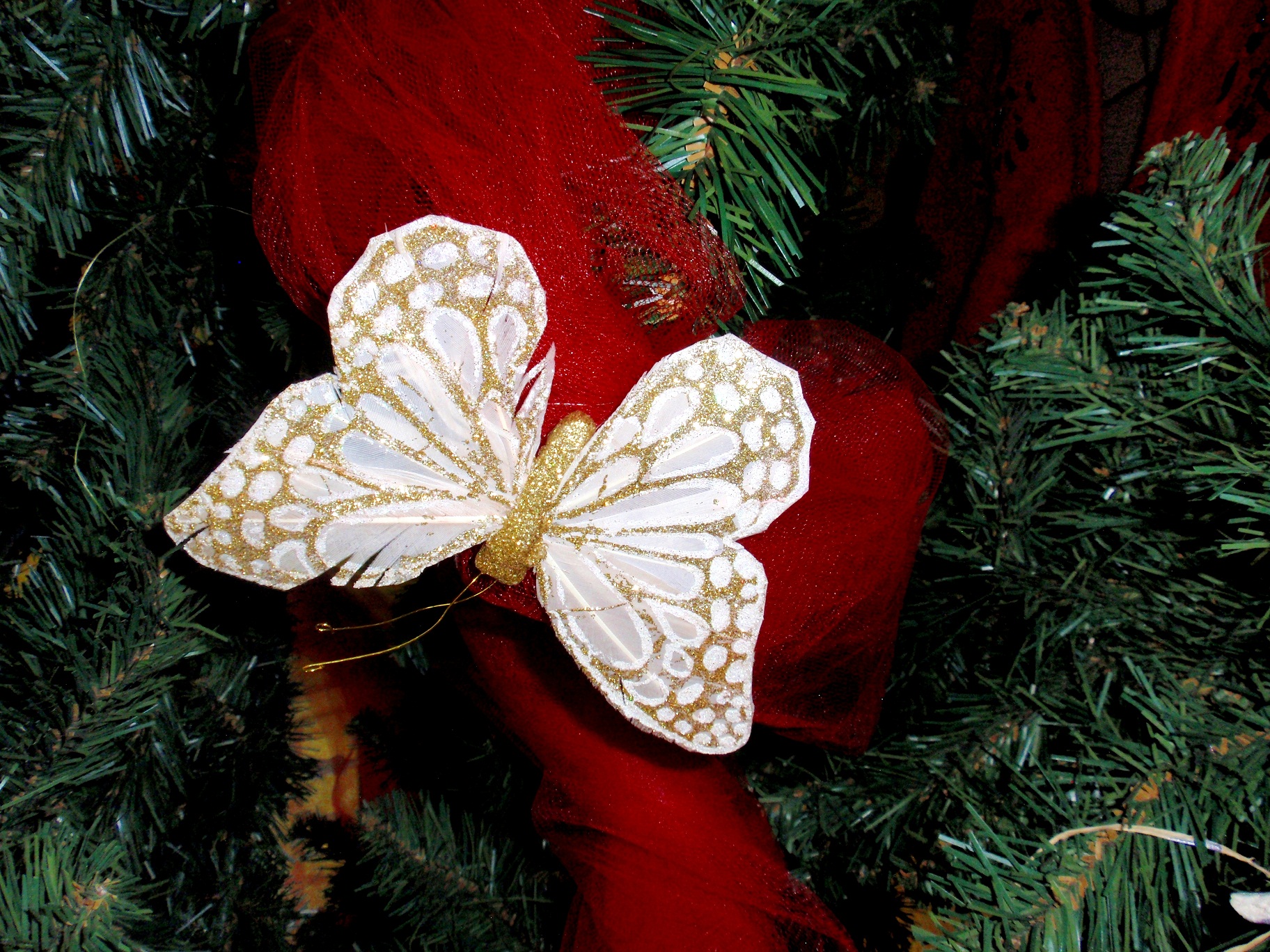 OLYMPUS DIGITAL CAMERA OLYMPUS DIGITAL CAMERA