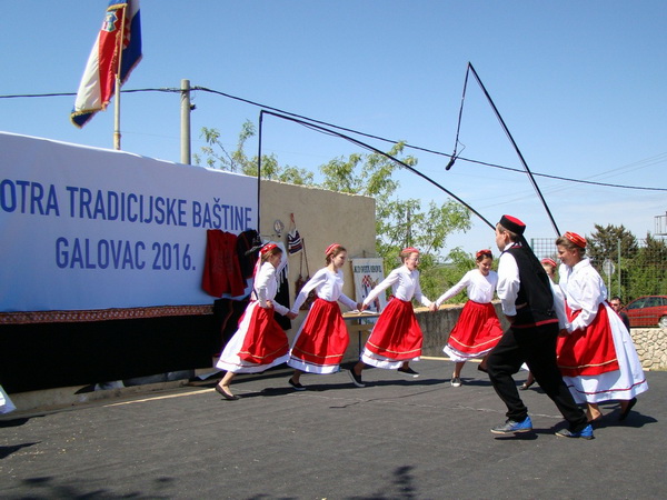 Galovac: Smotra  tradicijske baštine osnovnih i srednjih škola Zadarske županije. Foto: Marko Mane Ledenko