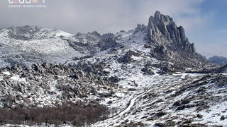 Tulove grede pod snježnim pokrivačem Tulove grede pod snježnim pokrivačem