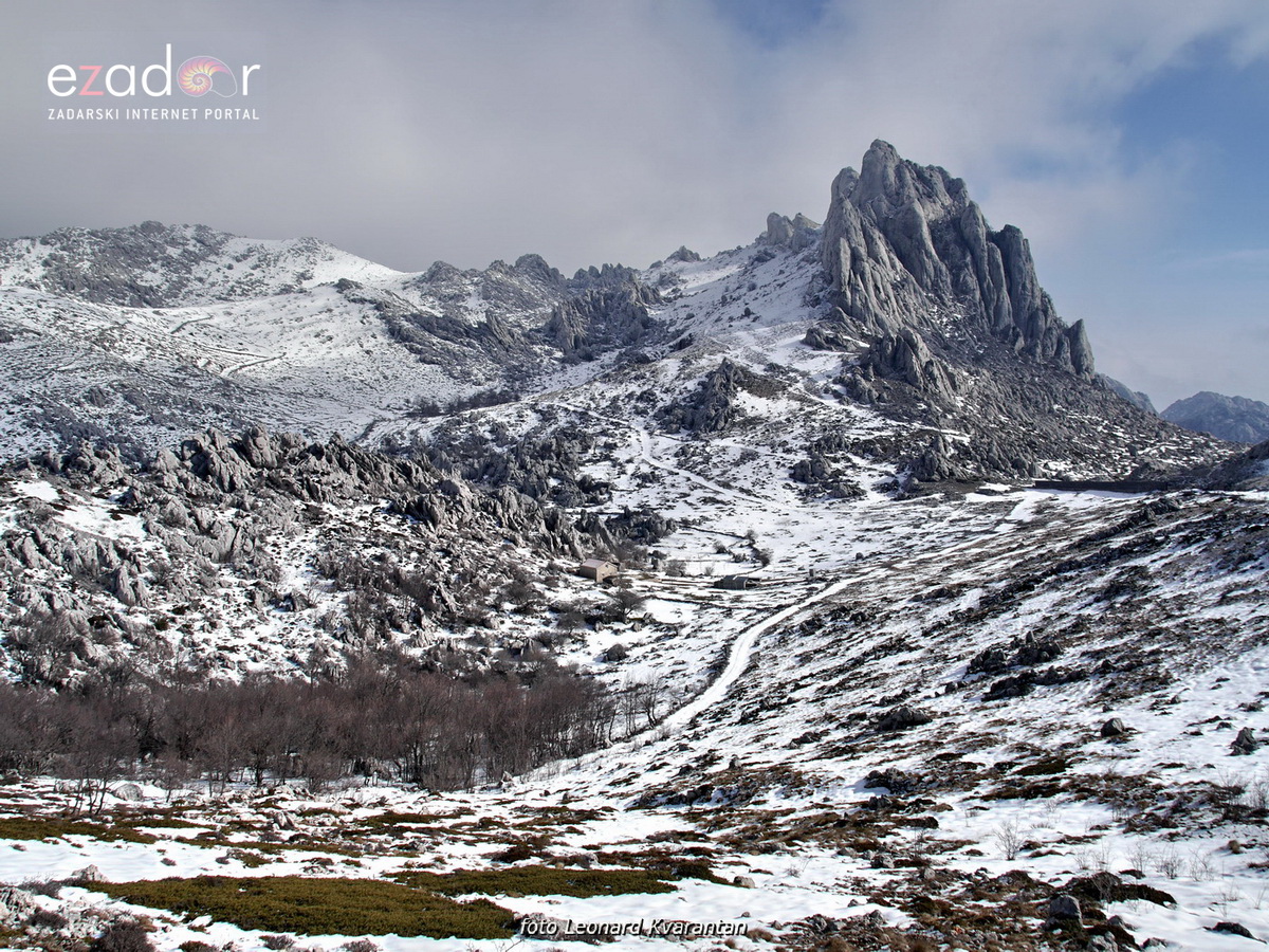 Tulove grede pod snježnim pokrivačem Tulove grede pod snježnim pokrivačem