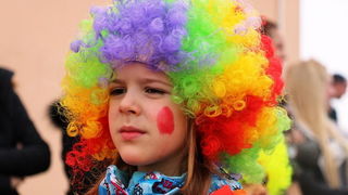 Virski karnevalić 2016. Virski karnevalić 2016.