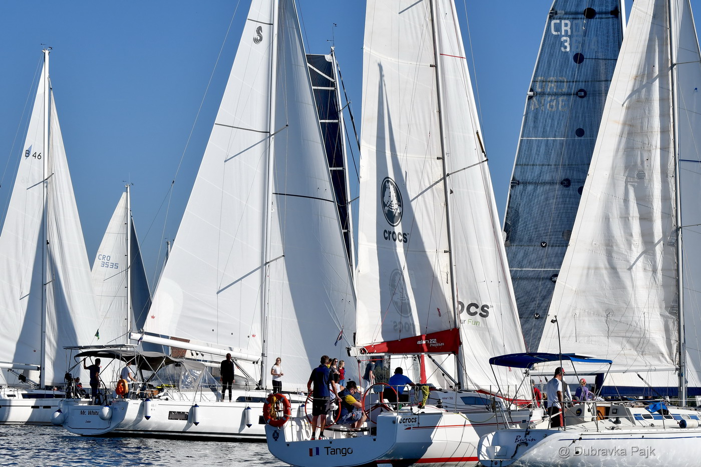 Sva lica “Zadarske koke” Sva lica “Zadarske koke”