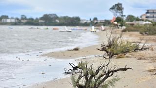 Čuvena ninska plaža Ždrijac teško stradala u poplavi