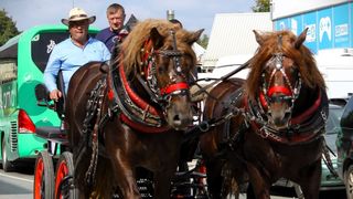 Jesen u Lici Jesen u Lici