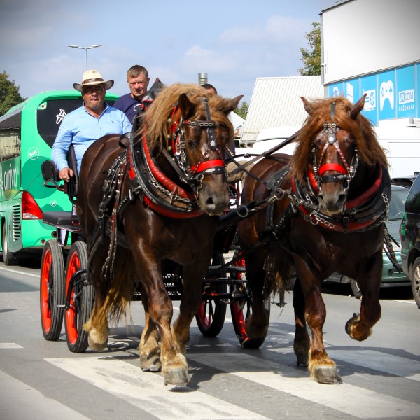 Jesen u Lici Jesen u Lici