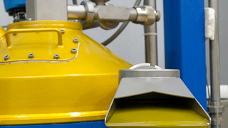 Put masline od stabla do djevicanskog ulja, Foto: Leo Banic Put masline od stabla do djevicanskog ulja, Foto: Leo Banic