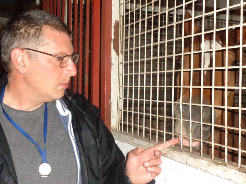 Dom za odrasle osobe Zemunik u manifestaciji “Hrvatska volontira 2015.”