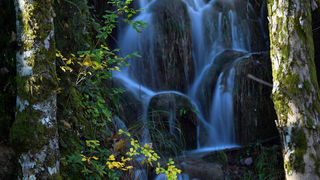 Boje jeseni na Plitvičkim jezerima