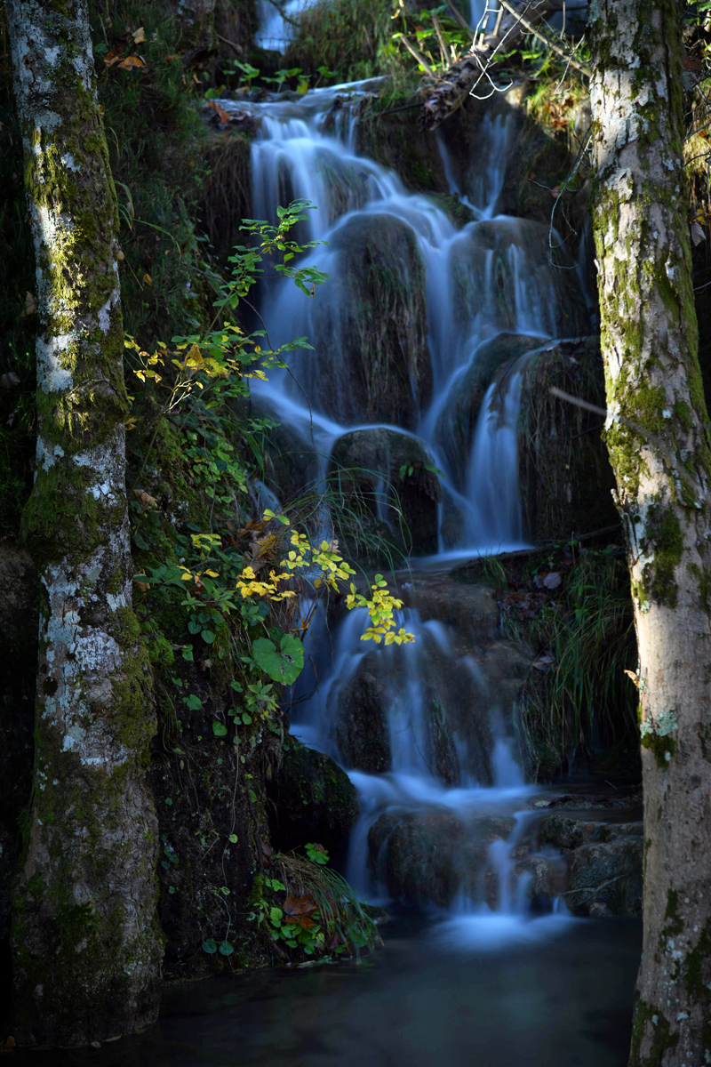Boje jeseni na Plitvičkim jezerima