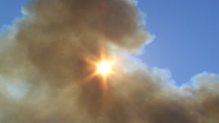 Image 1177159 (auto)