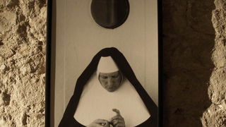 Zadar More, otvaranje izlo