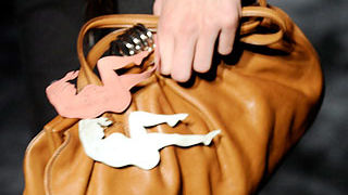 Torbice za proljeće 2010.