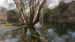 Obilazak NP Krka i Slapova Krke povodom Medjunarodnog dana rijeka. Photo: Dusko Jaramaz/PIXSELL Autor  Dusko Jaramaz/PIXSELL Ključne riječi  slapovi krke, Nacionalni park Krka, rijeka Krka, voda, rijeka,