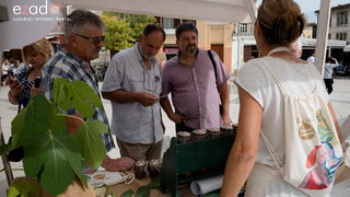 11. Festival smokava – Gastro smokva @ Muzej antičkog stakla 11. Festival smokava – Gastro smokva @ Muzej antičkog stakla