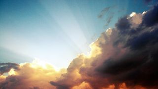 Image 1208597 (auto)