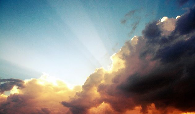 Image 1208597 (auto)