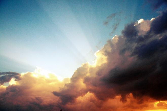 Image 1208597 (auto)