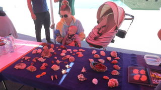 Ekološka akcija čišćenja podmorja u D-Marin Dalmacija