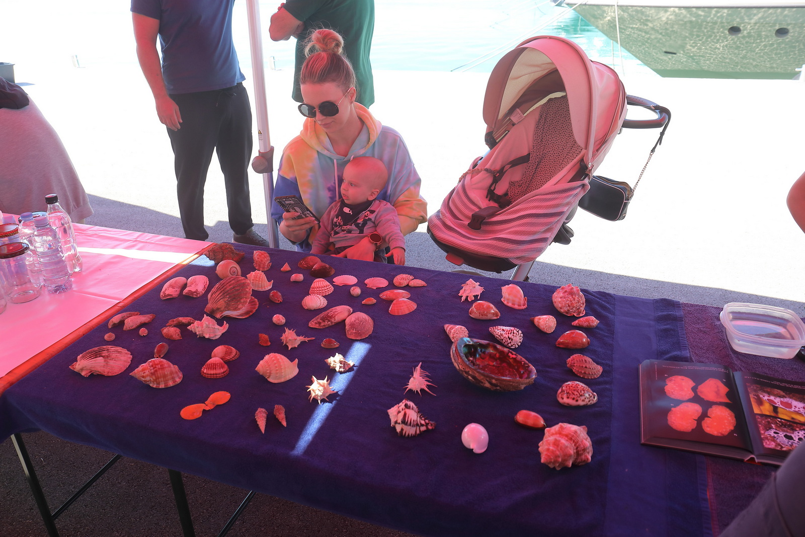 Ekološka akcija čišćenja podmorja u D-Marin Dalmacija