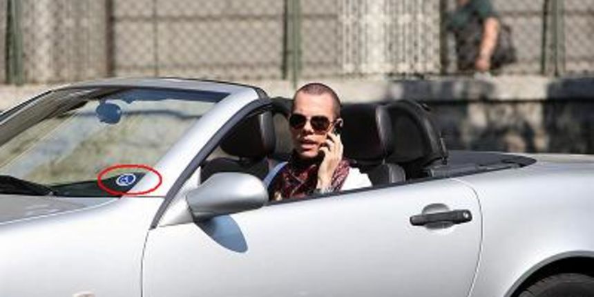 Modni mačak – invalid (dayline.info)