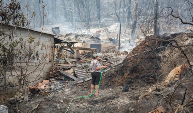 U katastrofalnim požarima na Pelješcu i Korčuli izgorjelo je više od 1400 hektara borove šume i vinograda.  Photo: Grgo Jelavić/PIXSELL