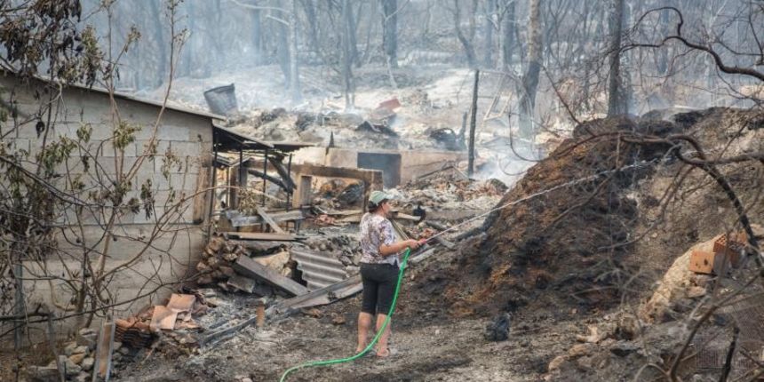 U katastrofalnim požarima na Pelješcu i Korčuli izgorjelo je više od 1400 hektara borove šume i vinograda. Photo: Grgo Jelavić/PIXSELL U katastrofalnim požarima na Pelješcu i Korčuli izgorjelo je više od 1400 hektara borove šume i vinograda. Photo: Grgo Jelavić/PIXSELL