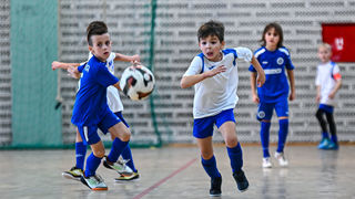 1.Cateleya indoor Cup 1.Cateleya indoor Cup