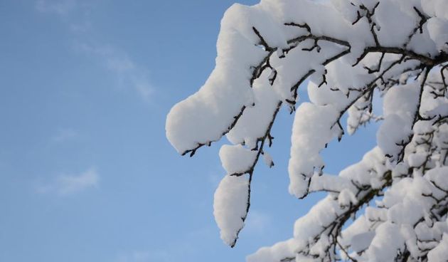 26.01.2014., Pregrada – Zagorski bregi i vinogradi okovani maglom, snijegom i ledom u okolici Pregrade. Photo: Matija Topolovec/PIXSELL Autor  Matija Topolovec/PIXSELL KLJUČNE RIJEČI  pregrada, zima, snijeg