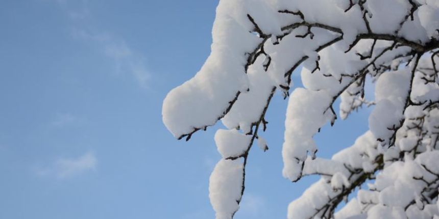 26.01.2014., Pregrada – Zagorski bregi i vinogradi okovani maglom, snijegom i ledom u okolici Pregrade. Photo: Matija Topolovec/PIXSELL Autor Matija Topolovec/PIXSELL KLJUČNE RIJEČI pregrada, zima, snijeg 26.01.2014., Pregrada – Zagorski bregi i vinogradi okovani maglom, snijegom i ledom u okolici Pregrade. Photo: Matija Topolovec/PIXSELL Autor Matija Topolovec/PIXSELL KLJUČNE RIJEČI pregrada, zima, snijeg