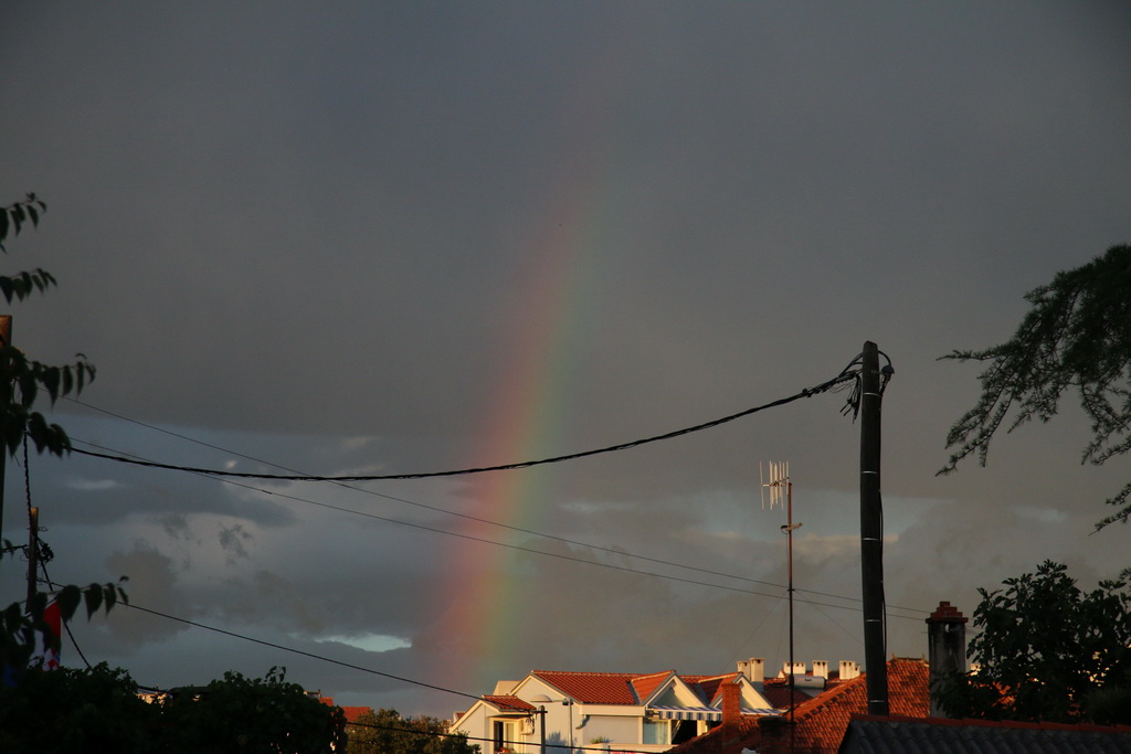 Procesija za blagdan Kraljice mira u Stanovima 22. kolovoza 2016. Procesija za blagdan Kraljice mira u Stanovima 22. kolovoza 2016.