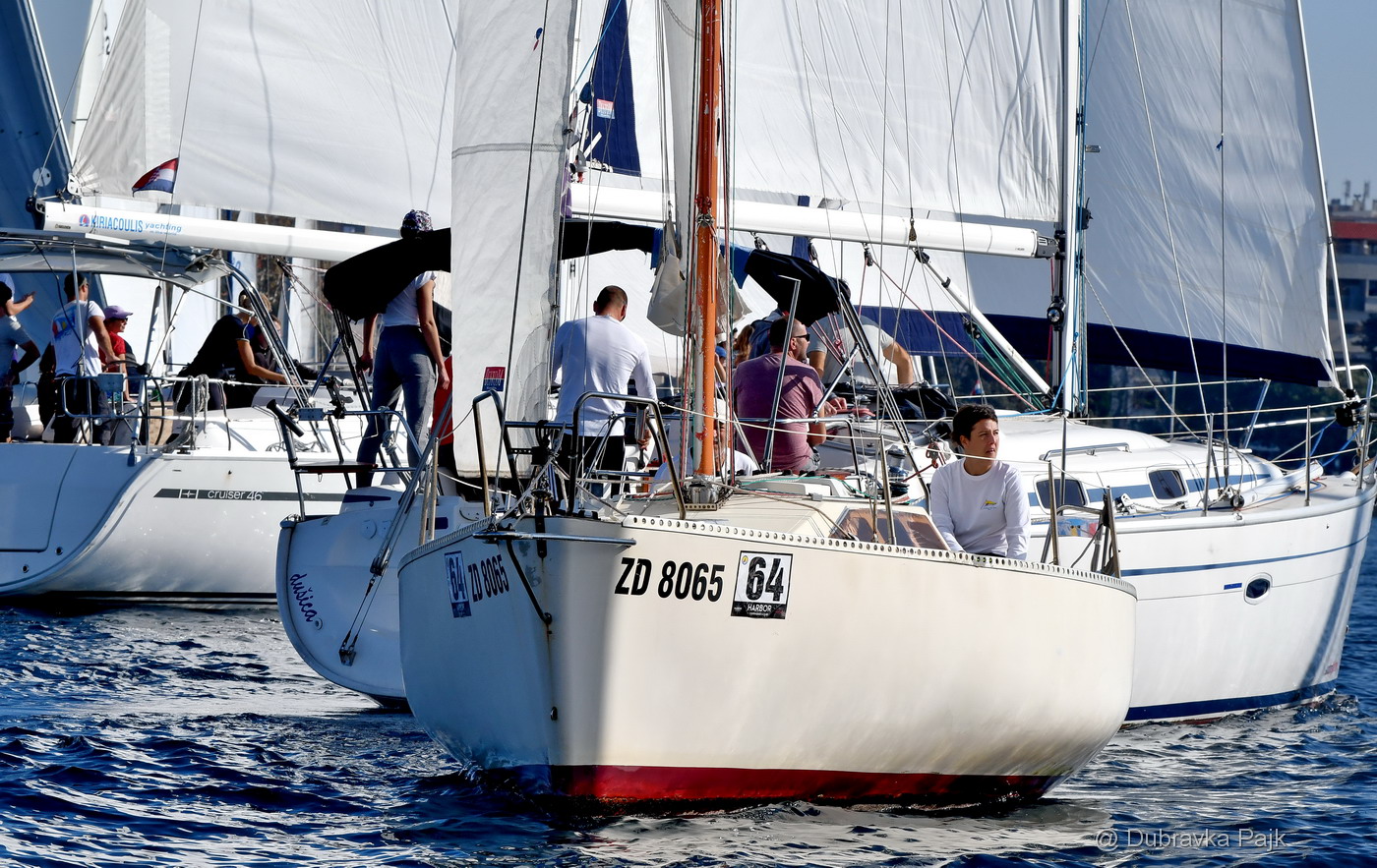 Sva lica “Zadarske koke” Sva lica “Zadarske koke”