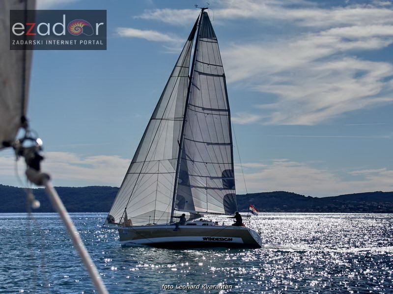 Zadarska koka 2017. Zadarska koka 2017.