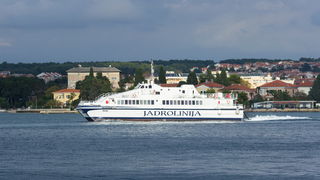 Đir po gradu 22. studenog 2016. Foto: Bojan Bogdanić Đir po gradu 22. studenog 2016. Foto: Bojan Bogdanić