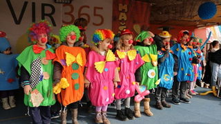 Virski karnevalić 2016. Virski karnevalić 2016.