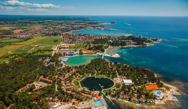 Sea star panorama, Umag