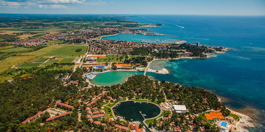 Sea star panorama, Umag