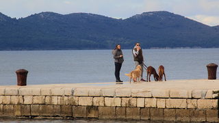 Đir po gradu 6. veljače 2014, Foto: Roberto Lerga