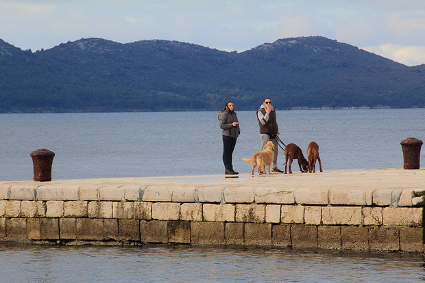 Đir po gradu 6. veljače 2014, Foto: Roberto Lerga