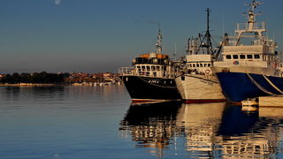 Svitanje i rano jutro u novoj luci Gaženica