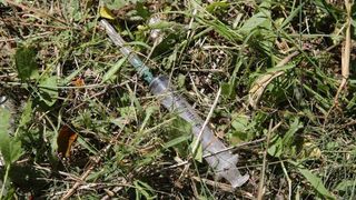 20.06.2013., Zadar – Akcija ciscenja narkomanskih sprica u parku na Brodarici pokraj Sfinge. Photo: Filip Brala/PIXSELL Autor Filip Brala/PIXSELL KLJUČNE RIJEČI ciscenje, sfinga, Brodarica, akcija mladih, narkomanija 20.06.2013., Zadar – Akcija ciscenja narkomanskih sprica u parku na Brodarici pokraj Sfinge. Photo: Filip Brala/PIXSELL Autor Filip Brala/PIXSELL KLJUČNE RIJEČI ciscenje, sfinga, Brodarica, akcija mladih, narkomanija