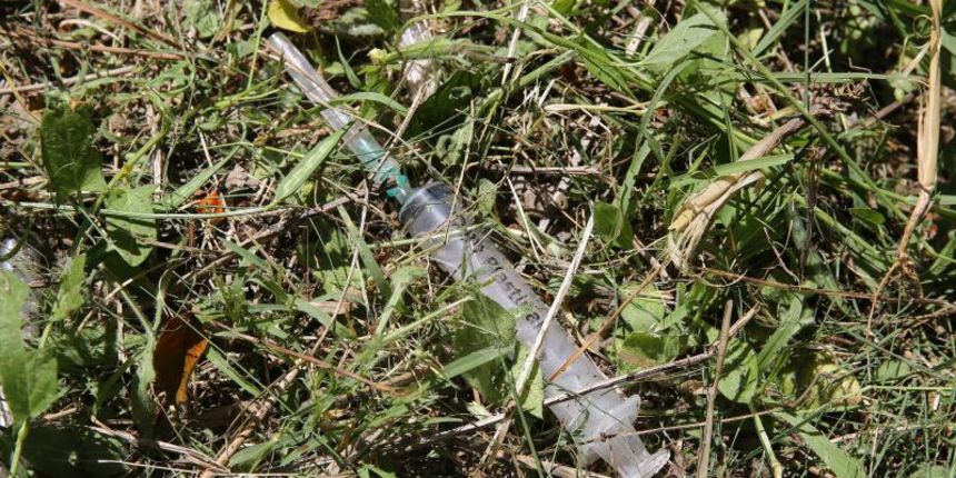 20.06.2013., Zadar – Akcija ciscenja narkomanskih sprica u parku na Brodarici pokraj Sfinge. Photo: Filip Brala/PIXSELL Autor Filip Brala/PIXSELL KLJUČNE RIJEČI ciscenje, sfinga, Brodarica, akcija mladih, narkomanija 20.06.2013., Zadar – Akcija ciscenja narkomanskih sprica u parku na Brodarici pokraj Sfinge. Photo: Filip Brala/PIXSELL Autor Filip Brala/PIXSELL KLJUČNE RIJEČI ciscenje, sfinga, Brodarica, akcija mladih, narkomanija