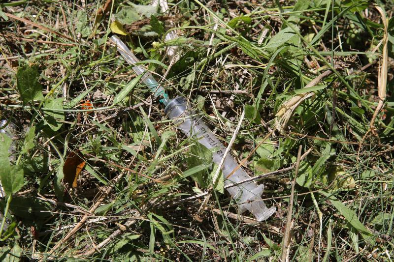 20.06.2013., Zadar – Akcija ciscenja narkomanskih sprica u parku na Brodarici pokraj Sfinge. Photo: Filip Brala/PIXSELL Autor Filip Brala/PIXSELL KLJUČNE RIJEČI ciscenje, sfinga, Brodarica, akcija mladih, narkomanija 20.06.2013., Zadar – Akcija ciscenja narkomanskih sprica u parku na Brodarici pokraj Sfinge. Photo: Filip Brala/PIXSELL Autor Filip Brala/PIXSELL KLJUČNE RIJEČI ciscenje, sfinga, Brodarica, akcija mladih, narkomanija