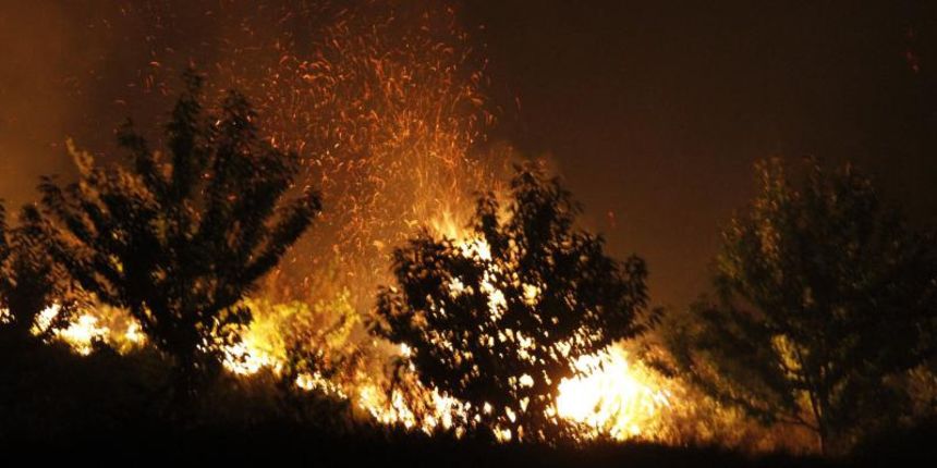 Sitno Donje i Gornje – Veliki pozar planuo je oko 19.30 na Mosoru. Vatra je izbila kod starog kamenoloma i igralista kod mjesta Sitno Donje. Na pozariste su prvo izasli vatrogsci iz DVD-a Zrnovnica a potom su angazirane gotovo sve postrojbe od Trogira do Sitno Donje i Gornje – Veliki pozar planuo je oko 19.30 na Mosoru. Vatra je izbila kod starog kamenoloma i igralista kod mjesta Sitno Donje. Na pozariste su prvo izasli vatrogsci iz DVD-a Zrnovnica a potom su angazirane gotovo sve postrojbe od Trogira do